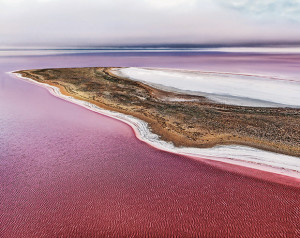 Peter Elfes' The Green Desert